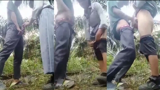 Bokep Sma Abg Viral Ngewe Di Kebun Sawit