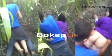 Bokep Sma abg viral terbaru terciduk ngewe di kebun jagung